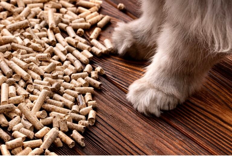 наповнювач для котів